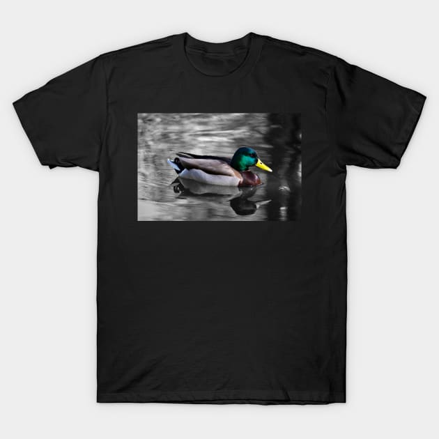 Mallard Duck T-Shirt by DebraCasey